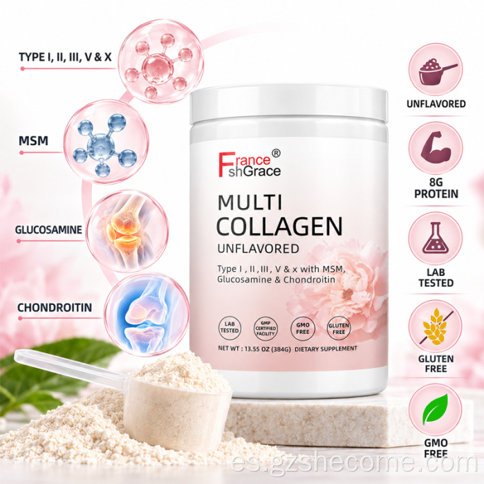 Venta al por mayor Shecome polvo de péptidos de colágeno múltiple hidrolizado